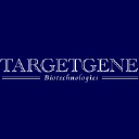 targetgenebio.com