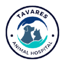 tavaresanimalhospital.com