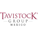 tavistock.mx
