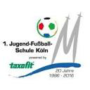 taxofit-fussballschule.de