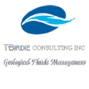 TBirdie Consulting Inc