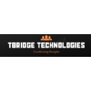 tbridgetech.com