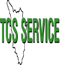 TCS Service on Elioplus