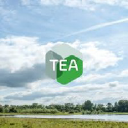 teainconline.com