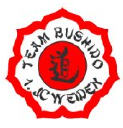 team-bushido.de