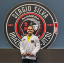 Team Silva Martial Arts Academy logo