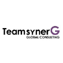 teamsynerg.com