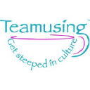 teamusing.com