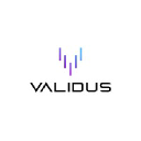 teamvalidus.com