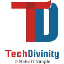 techdivinity.com