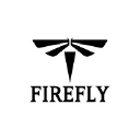 techfirefly.com
