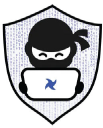 Tech Ninjas Inc