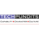 Tech Pundits