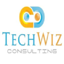 techwizconsulting.com