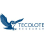Tecolote Research logo