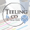 Teeling & Company logo