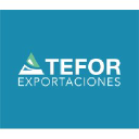 teforexportaciones.com