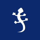 tegus