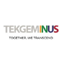 tekgeminus.com
