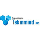 tekinmind.com