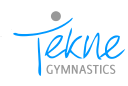 teknegymnastics.com