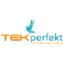 tekperfekt.com