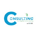 teksial-consulting.com
