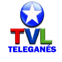 teleganes.com