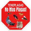 teneplagas.com
