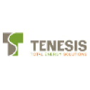 tenesis.com