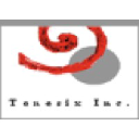 tenesix.com