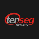 tensegsecurity.com.br