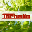 terhalle.de