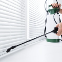 Space City Termite Removal Experts