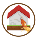 Bustling City Termite Removal Experts
