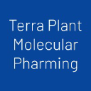 terraplantmolecularpharming.com