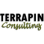 Terrapin Consulting logo