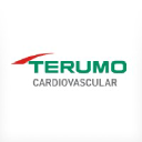 terumocv.com