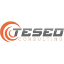 teseoconsulting.fr