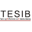 tesib.com