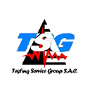 testingservicegroup.com
