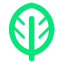 Testnet Everstrike