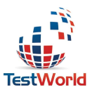 TestWorld Inc.