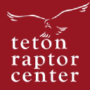 tetonraptorcenter.org