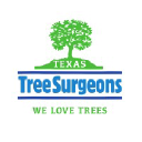 Texas Tree Surgeons Gallery