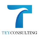teyconsulting.com