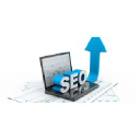 The Seo Agency