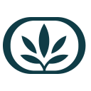The Alchemy Chelsea – Licensed Cannabis Dispensary Logo