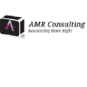 theamrconsulting.com