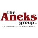 theaneksgroup.com
